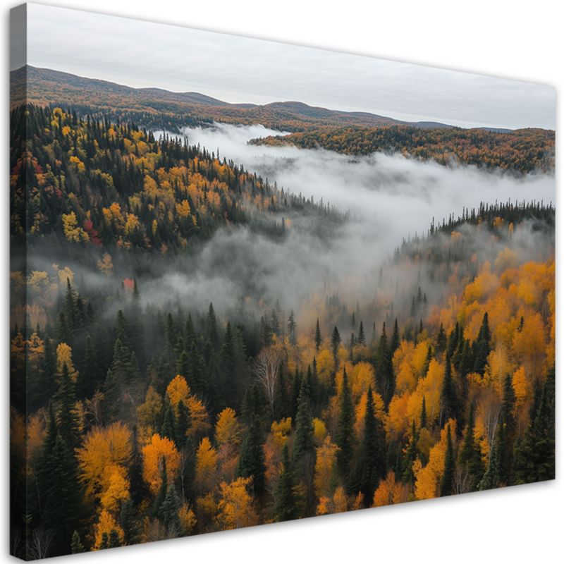 Obraz do salonu sypialni Feeby Las we mgle natura pejzaż 90x60cm 1szt