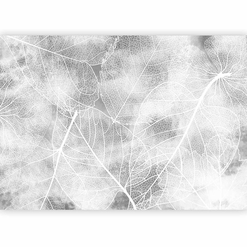 Fototapeta flizelinowa Artgeist 110g/m2 Liście czarna 350x256 (7 części) 10043ac rolka 1 szt