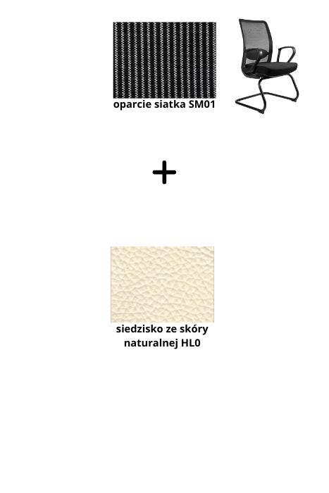 ANGGUN SKID fotel biurowy, siatka/tkanina lub skóra naturalna, kolory (Siatka: SM01, Kolor siedziska: skóra HL0)