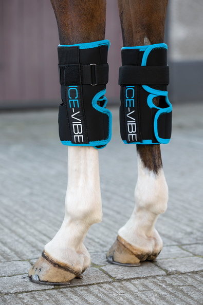 Horseware Horseware ochraniacze terapeutyczne Ice Vibe staw nadgarstkowy 24h