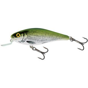 SALMO WOBLER EXECUTOR IEX9SR OLB
