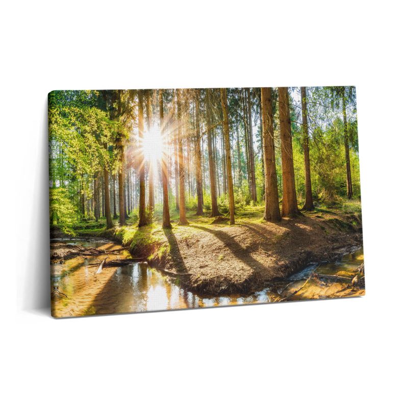 Obraz na płótnie Wallfluent 60x40 cm Słońce za drzewami w lesie 1 szt.