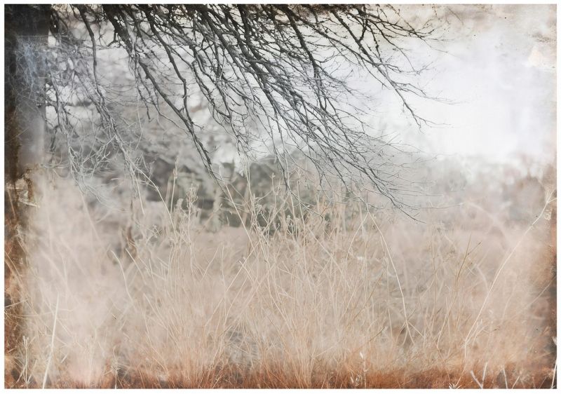 Fototapeta WALLARENA Do Sypialni Salonu Na Flizelinie Łąka Abstrakcja Vintage 300x210 cm 1 szt.