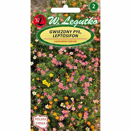1 szt, Gwiezdny pył (Leptosifon), mieszanka Legutko - Nasiona: Ilość w opakowaniu: 0.1 g
