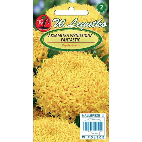 1 pac, Crăițe galbene Fantastic - Semințe: Mod de ambalare: 0.3 g