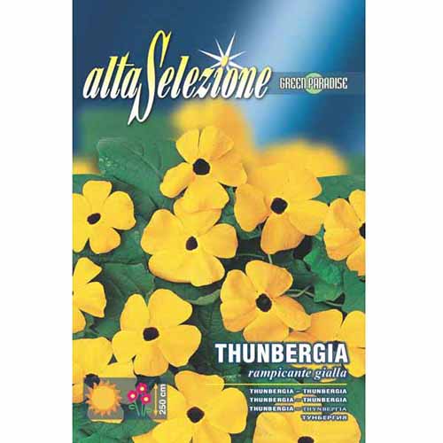 1 pac, Thunbergia galbenă cu ochi negri - Semințe: Mod de ambalare: 1.5 g