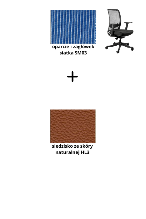 ANGGUN M fotel biurowy czarny stelaż, siatka, tkanina kolory (Kolor siedziska: skóra HL3, Kolor siatki: niebieska SM03)