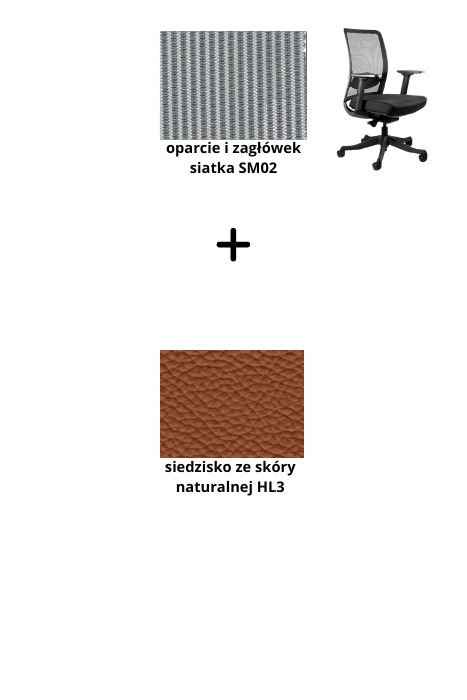 ANGGUN M fotel biurowy czarny stelaż, siatka, tkanina kolory (Kolor siedziska: skóra HL3, Kolor siatki: szara SM02)