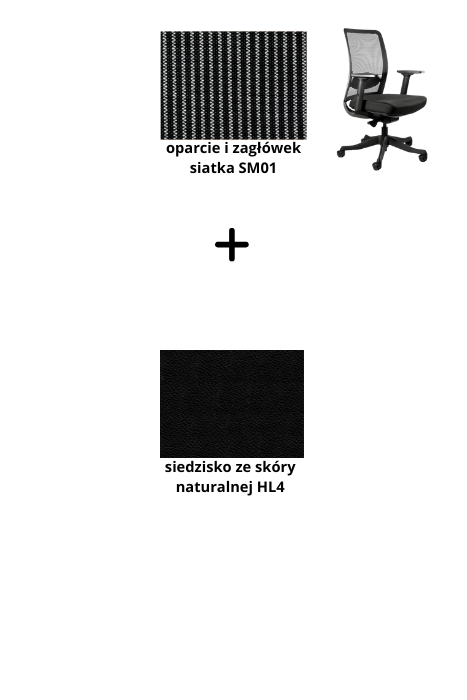 ANGGUN M fotel biurowy czarny stelaż, siatka, tkanina kolory (Kolor siedziska: skóra HL4, Kolor siatki: czarna SM01)