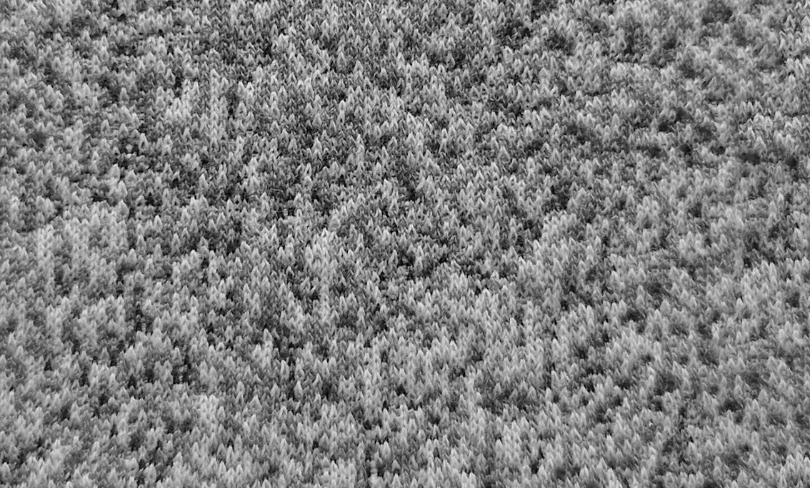 TURINI fotel biurowy balansujacy, bez oparcia, tkanina 5 kolorów (Kolor tapicerki: MOON U-03)