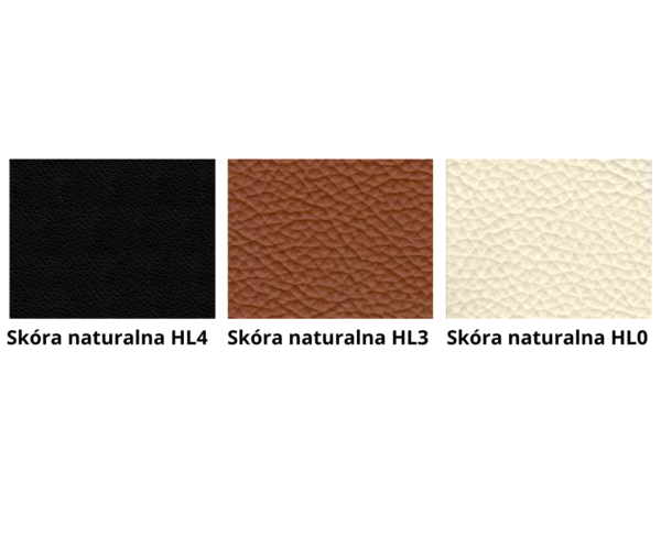 FORTE fotel biurowy, siatka i tkanina lub skóra naturalna, kolory (Kolor siedziska: skóra HL-0)