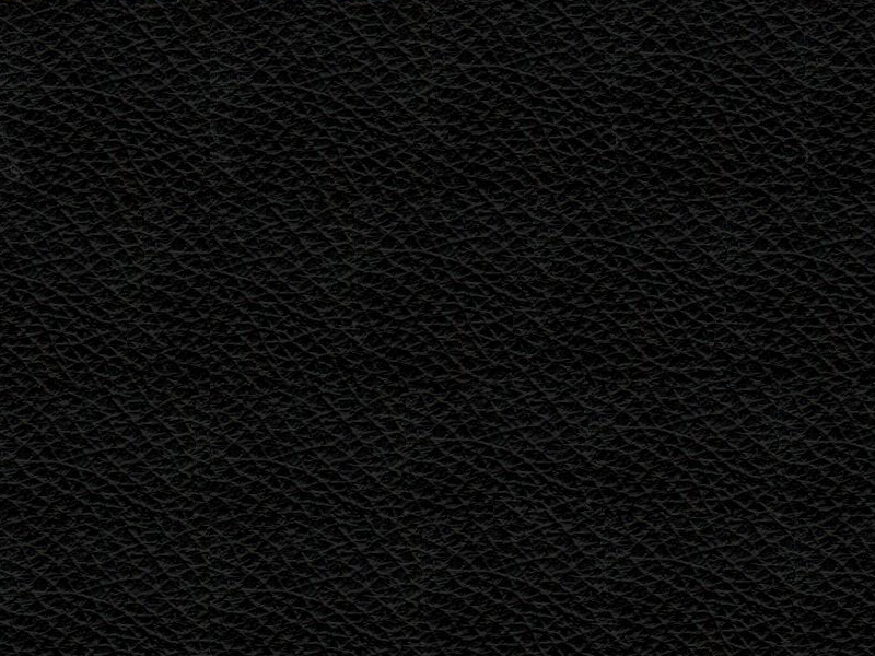 TUNE M fotel biurowy czarny stelaż, siatka/tkanina lub skóra naturalna kolory (Kolor siedziska i zagłówka: skóra naturalna HL-4, Kolor siatki: czarny)