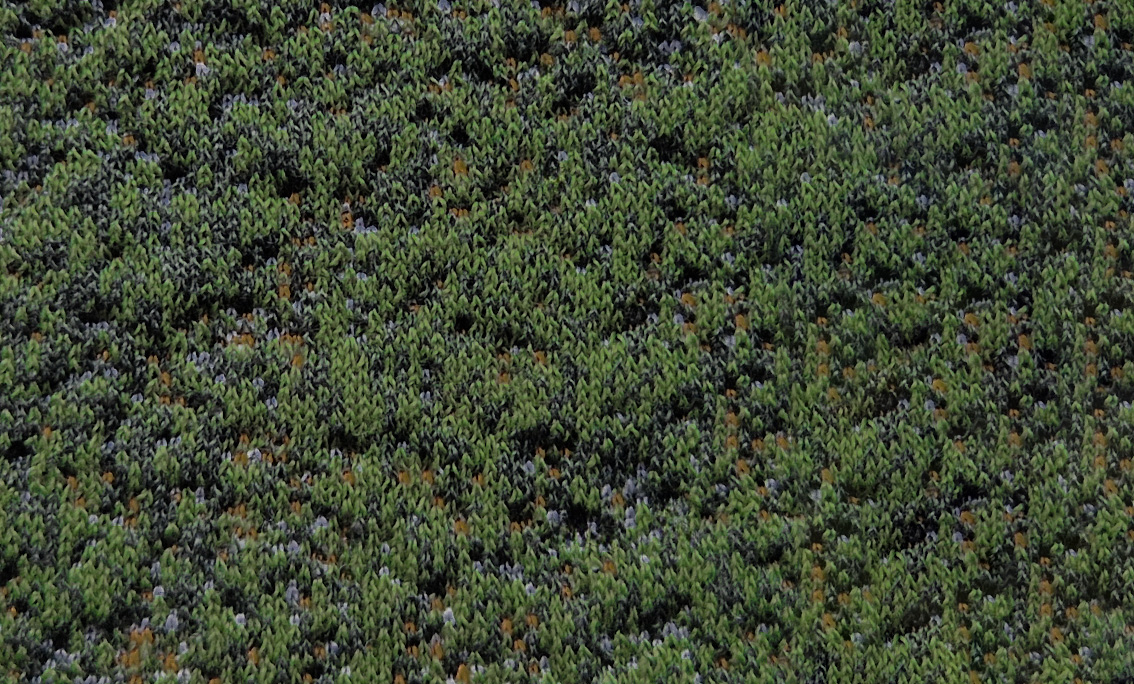 TURINI fotel biurowy balansujący z podnóżkiem, tkanina 5 kolorów (Kolor tapicerki: MOON U-05)