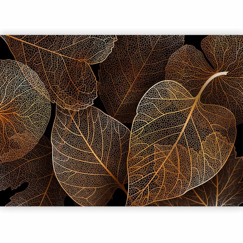 Fototapeta flizelinowa Artgeist 110g/m2 Liście czarna 150x105 (3 części) 10043aa rolka 1 szt