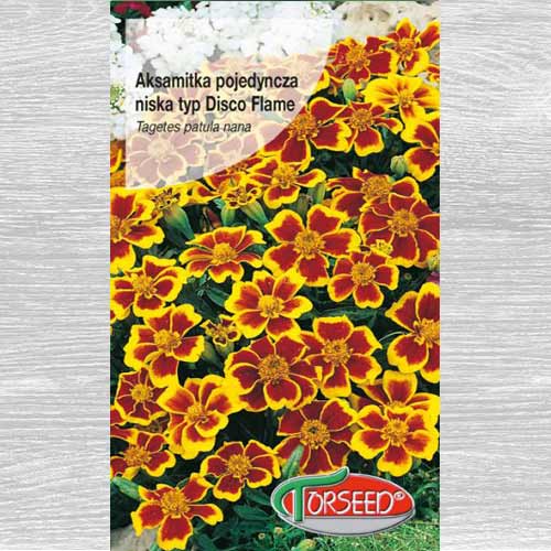 1 szt, Aksamitka pojedyncza niska Disco - Nasiona: Ilość w opakowaniu: 1 g