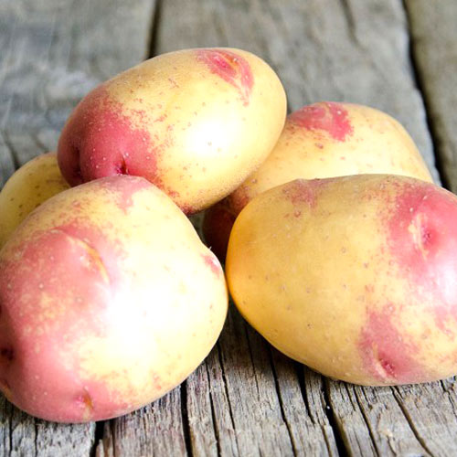 1 kg, Cartofi de sămânță Apache - Tuberculi: Mod de ambalare: 1 kg