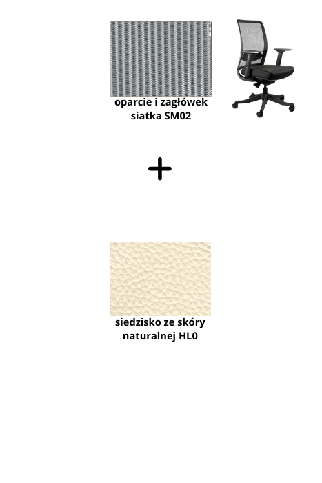 ANGGUN M fotel biurowy czarny stelaż, siatka, tkanina kolory (Kolor siedziska: skóra HL0, Kolor siatki: szara SM02)