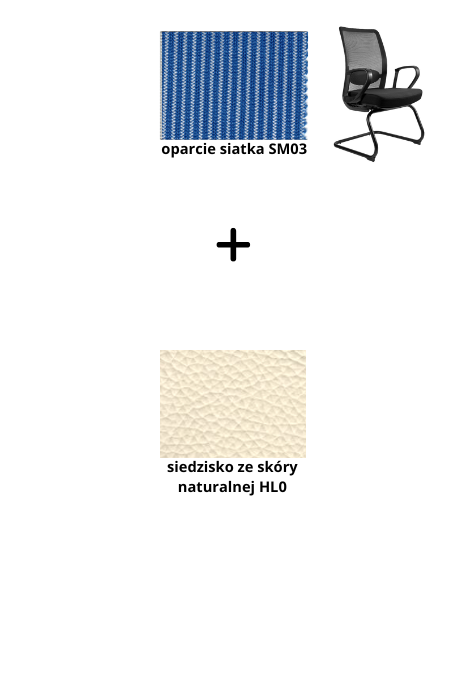 ANGGUN SKID fotel biurowy, siatka/tkanina lub skóra naturalna, kolory (Siatka: SM03, Kolor siedziska: skóra HL0)