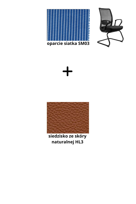 ANGGUN SKID fotel biurowy, siatka/tkanina lub skóra naturalna, kolory (Siatka: SM03, Kolor siedziska: skóra HL3)