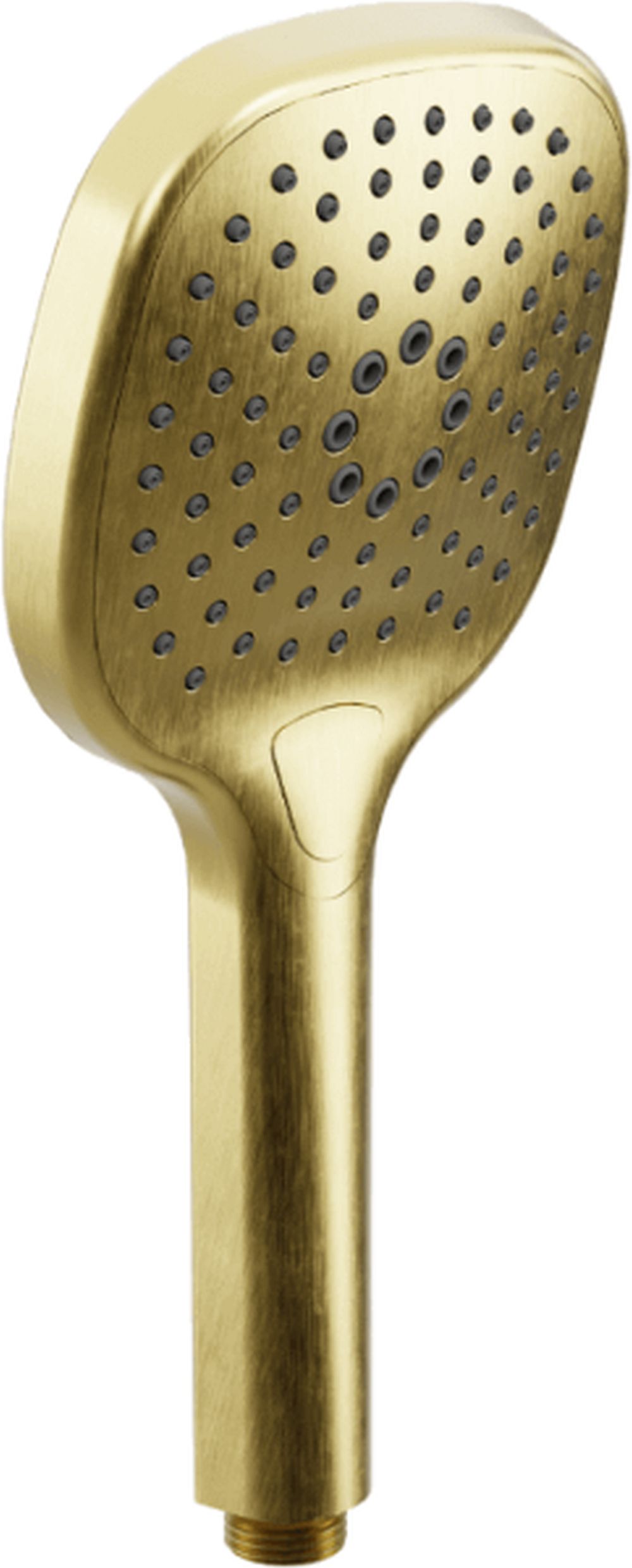 Darmowa Dostawa - Słuchawka prysznicowa złota Excellent Auris AREXSH100GB