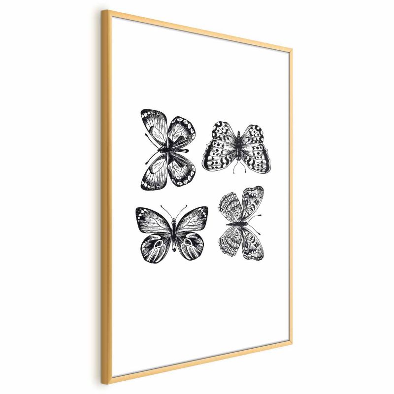 Plakat Artgeist Cztery motyle 40x60 cm z ramą złotą 1 szt