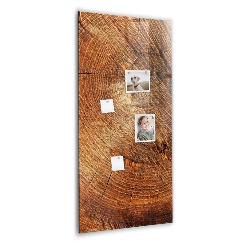 Szklana tablica magnetyczna Wallfluent 60x120 cm Przekrój pnia Biały marker 1 szt.