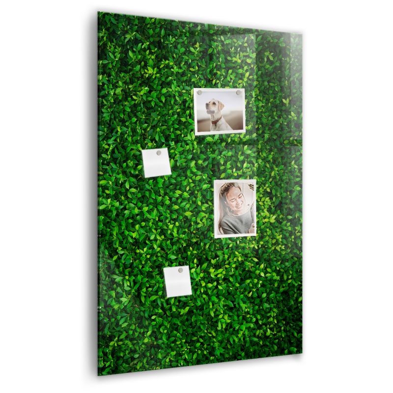 Szklana tablica magnetyczna Wallfluent 60x90 cm Płot liście roślin Biały marker 1 szt.