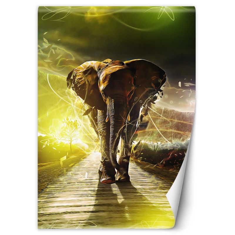 Fototapeta Feeby Słoń na drodze abstrakcja 200x280 1 szt