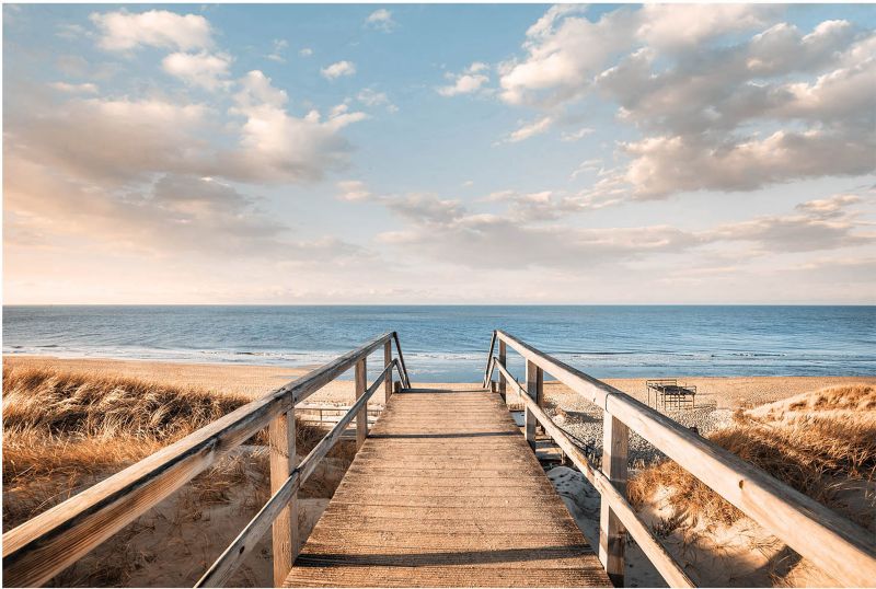 Obraz Glasspik Sunny 80 x 120 cm