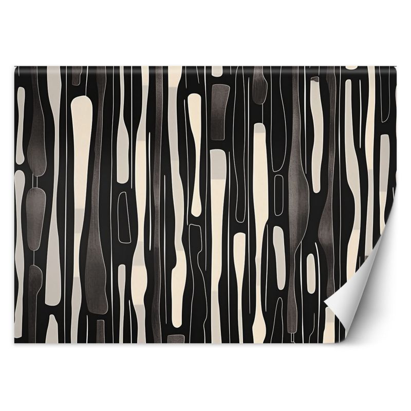 Fototapeta Feeby Czarno biała abstrakcja 350x245 1 szt