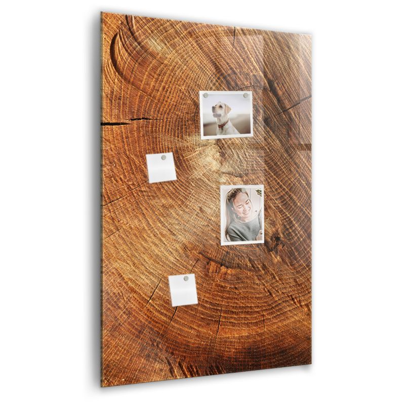 Szklana tablica magnetyczna Wallfluent 60x90 cm Przekrój pnia Biały marker 1 szt.