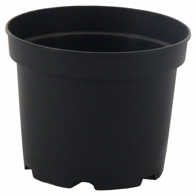 Doniczka produkcyjna 21 cm czarna