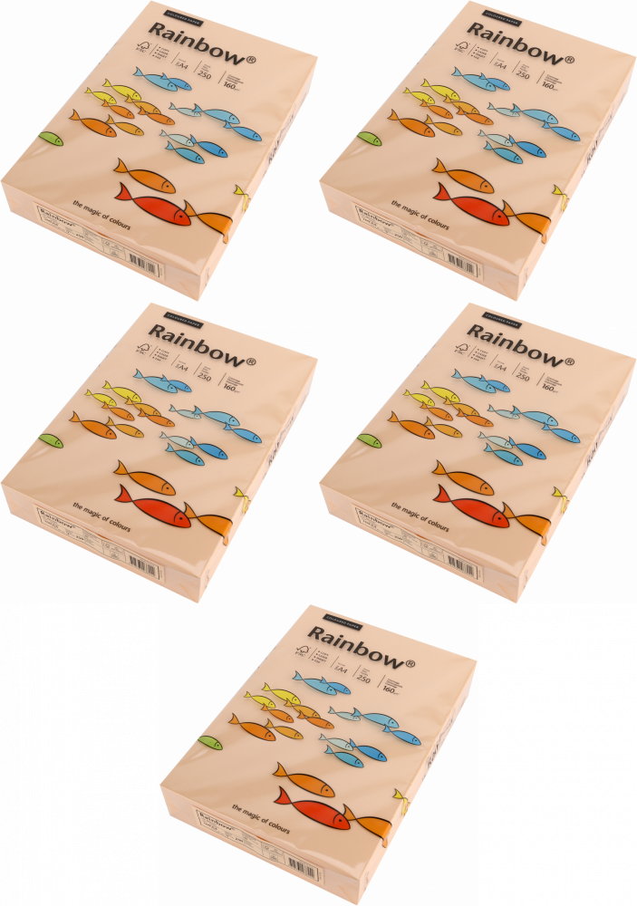 5x Papier kolorowy Rainbow, A4, 160g/m2, 250 arkuszy, łososiowy (R40)