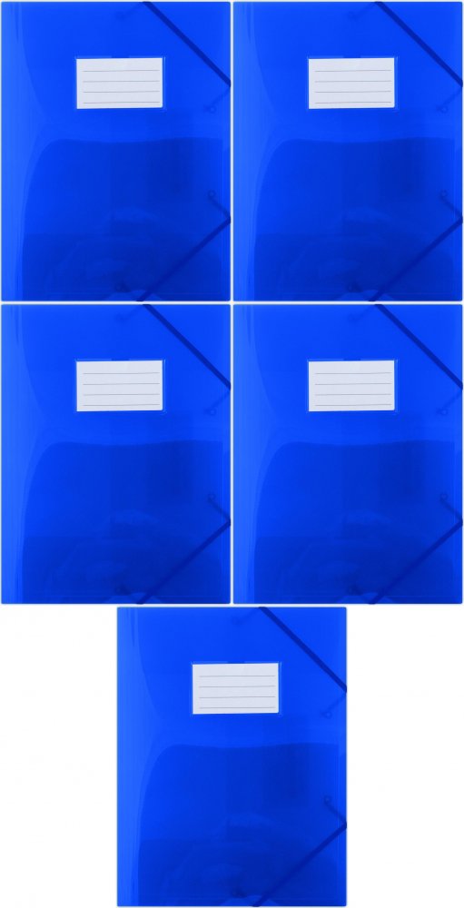 5x Teczka plastikowa z narożną gumką Donau, A4, niebieski