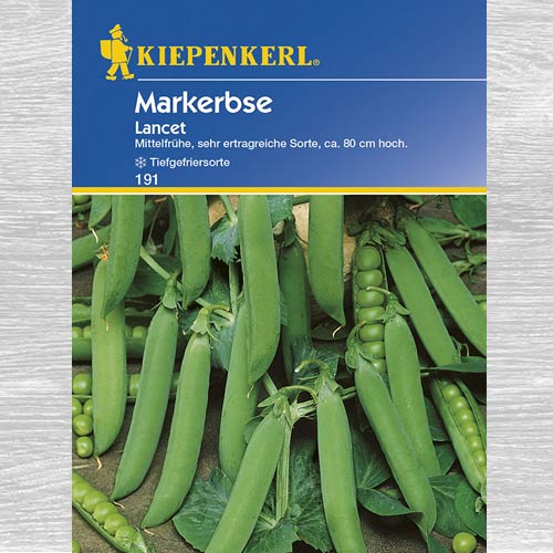 1 pac, Mazăre Lancet - Semințe: Mod de ambalare: 1 pac