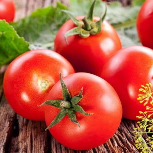 1 pac, Roșie Samurai - Semințe: Mod de ambalare: 0.5 g