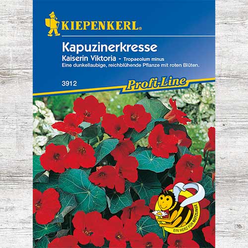 1 pac, Condurul doamnei Queen Victoria - Semințe: Mod de ambalare: 1 pac