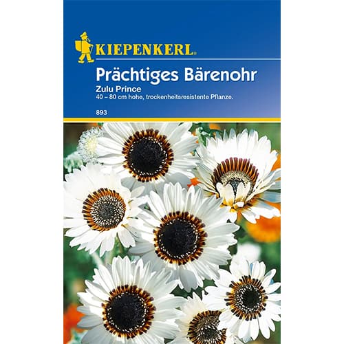 1 ob, Arktotis Zulu Prince - : Monžstvo balíkov: 1 ob