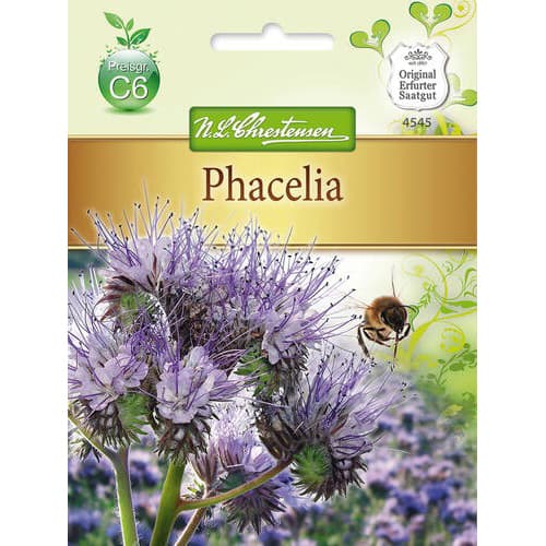 1 szt, Phacelia Chrestensen - Samen: Ilość w opakowaniu: 1 Stück
