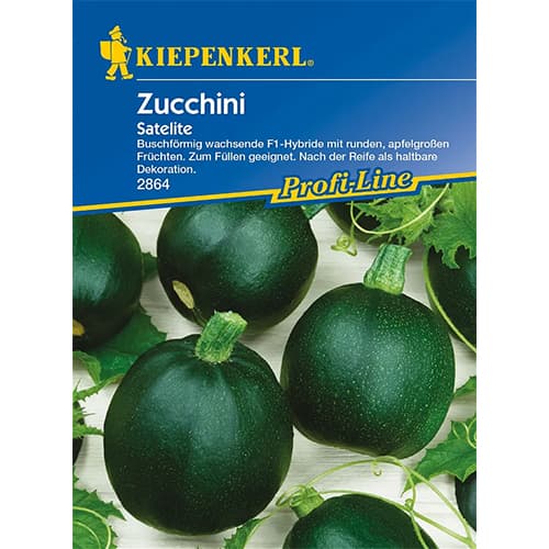 1 szt, Zucchini Satelite F1 - Samen: Ilość w opakowaniu: 1 Stück