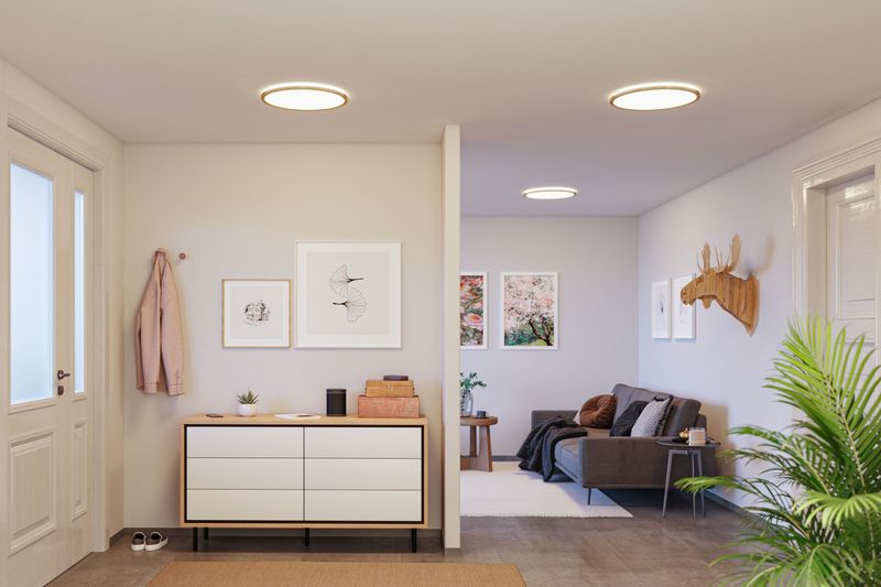 Paulmann Atria Wood Backlight plafon 1x22W LED biały/drewno 71034