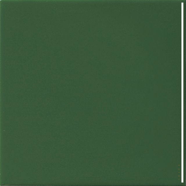 Płytka ścienna hiszpańska VA MONOCOLOR BOTELLA LISO błyszcząca 20x20