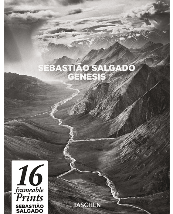 Salgado. Poster Box