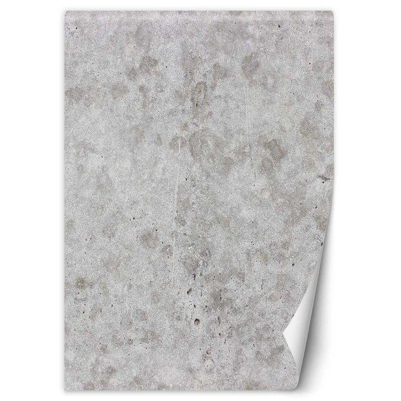 Fototapeta Feeby Szary beton imitacja 200x280 1 szt