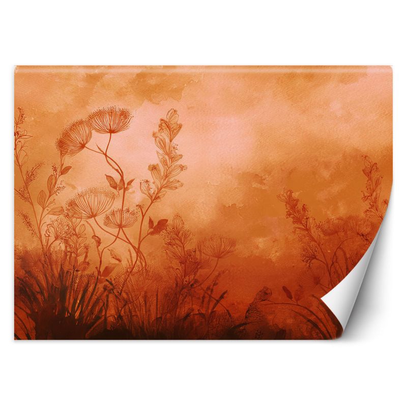 Fototapeta Feeby Rośliny Łąka Pomarańczowy 350x245 1 szt