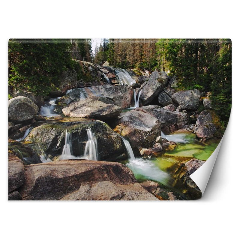 Fototapeta Feeby Górski potok natura 350x245 1 szt