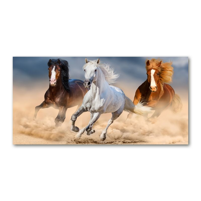 Obraz canvas Tulup Konie na pustyni 120x60 cm 1 szt.