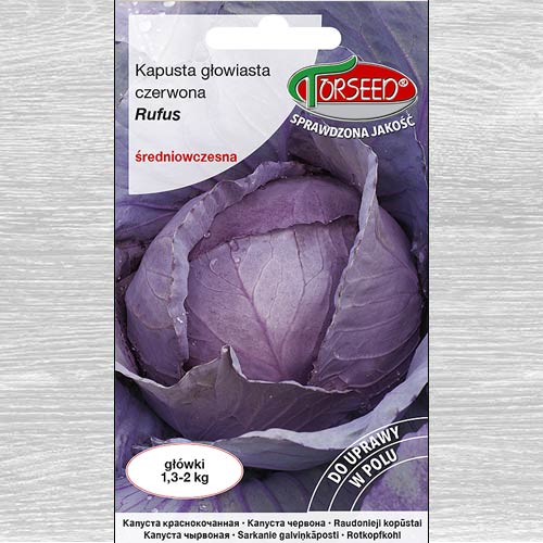 1 szt, Kapusta głowiasta czerwona Rufus - Nasiona: Ilość w opakowaniu: 1 g