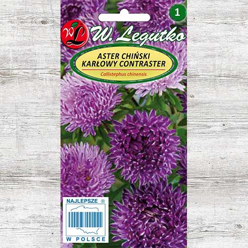 1 szt, Aster chiński karłowy Contraster ciemnoniebieski Legutko - Nasiona: Ilość w opakowaniu: 0.5 g