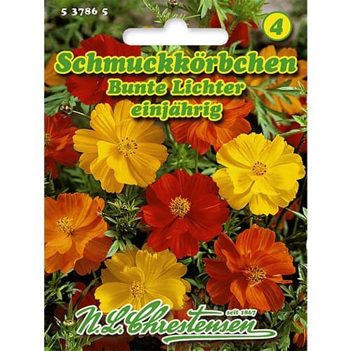 Kosmos siarkowy Bunte Lichter - Nasiona. Ilość w opakowaniu: 1 opak - GradinaMax